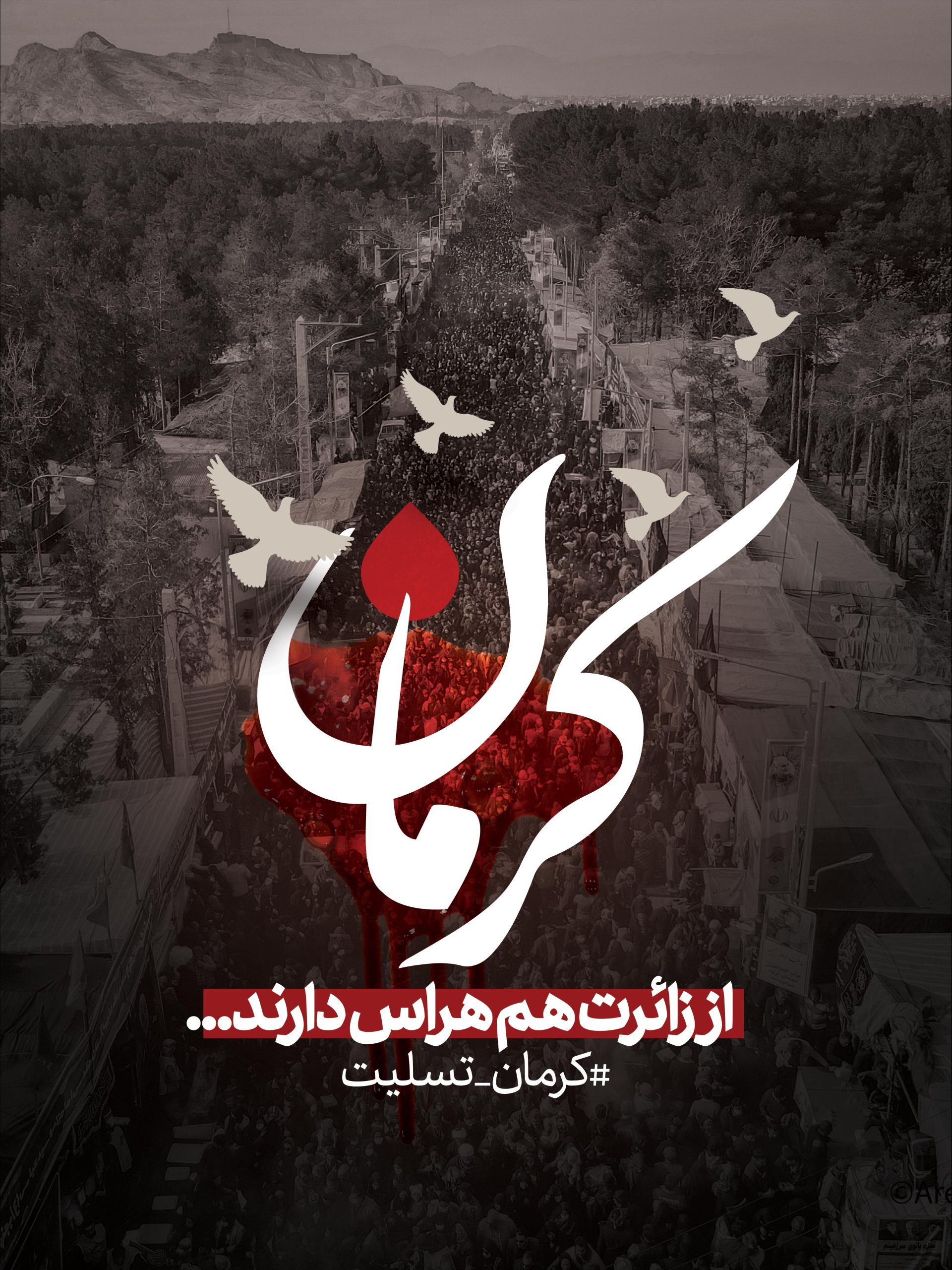پیام تسلیت شرکت خدمات و پشتیبانی توسعه تعاون در پی شهادت هموطنان عزیزمان در گلزار شهدای کرمان